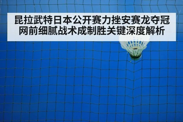badminton net play